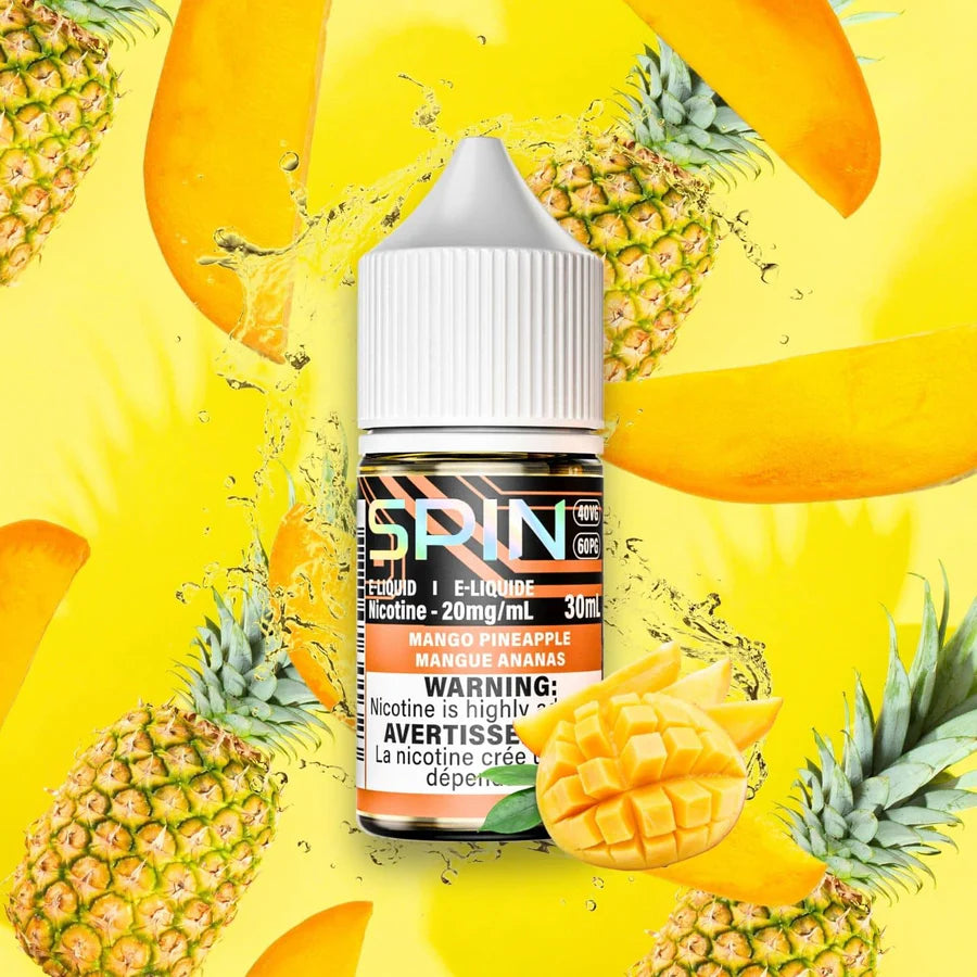 Spin E-Liquid