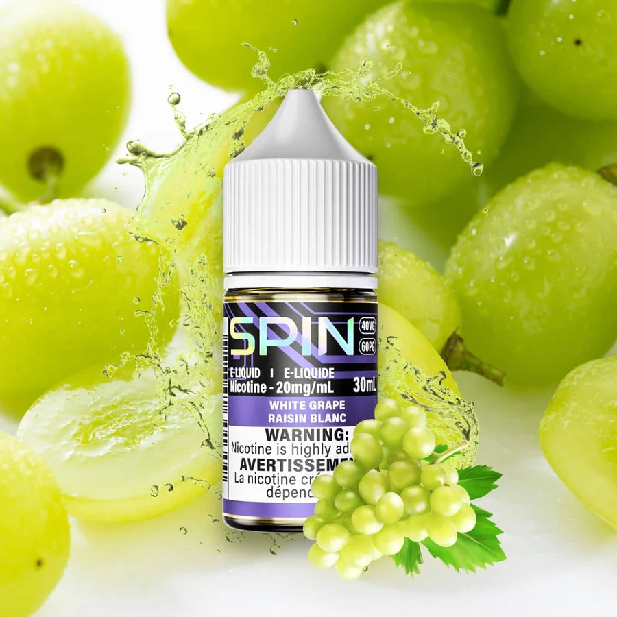 Spin E-Liquid