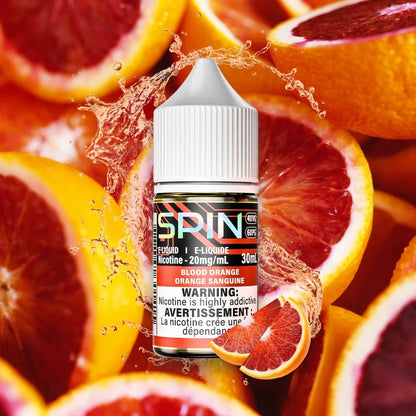 Spin E-Liquid