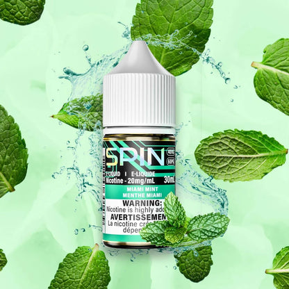 Spin E-Liquid