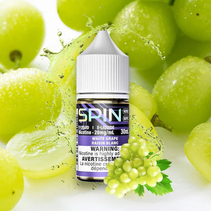 Spin E-Liquid
